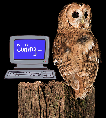 A Tale of Two Programming Languages and Tawny Owls