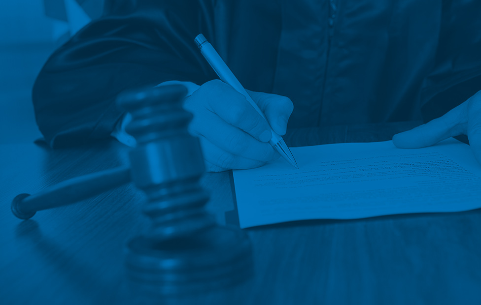 Expert Witness